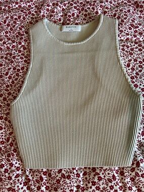Aritzia crop top